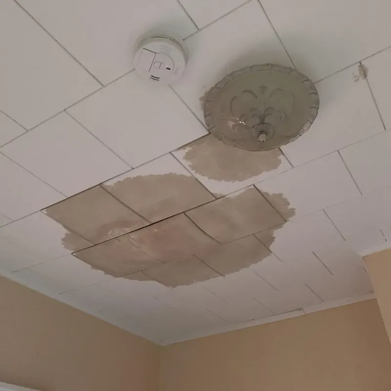 Ceiling Water Damage Repair in Portsmouth, OH