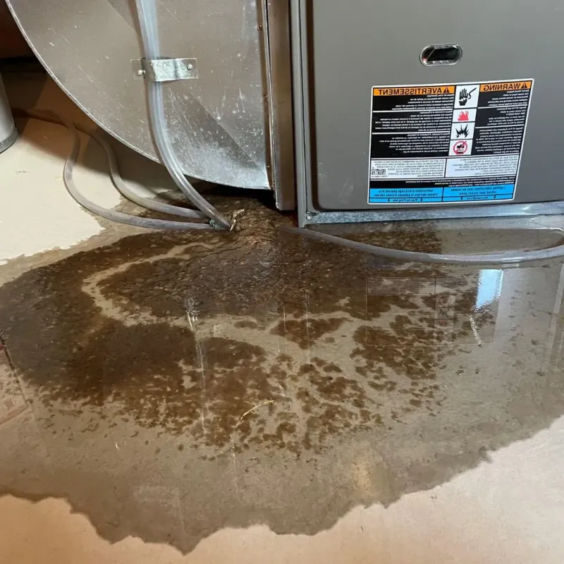Pipe Burst and Leak Restoration in Portsmouth, OH