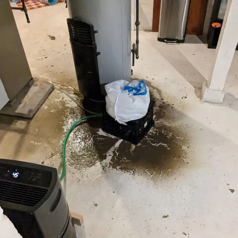 Sewage Backup Cleanup Service in Portsmouth, OH